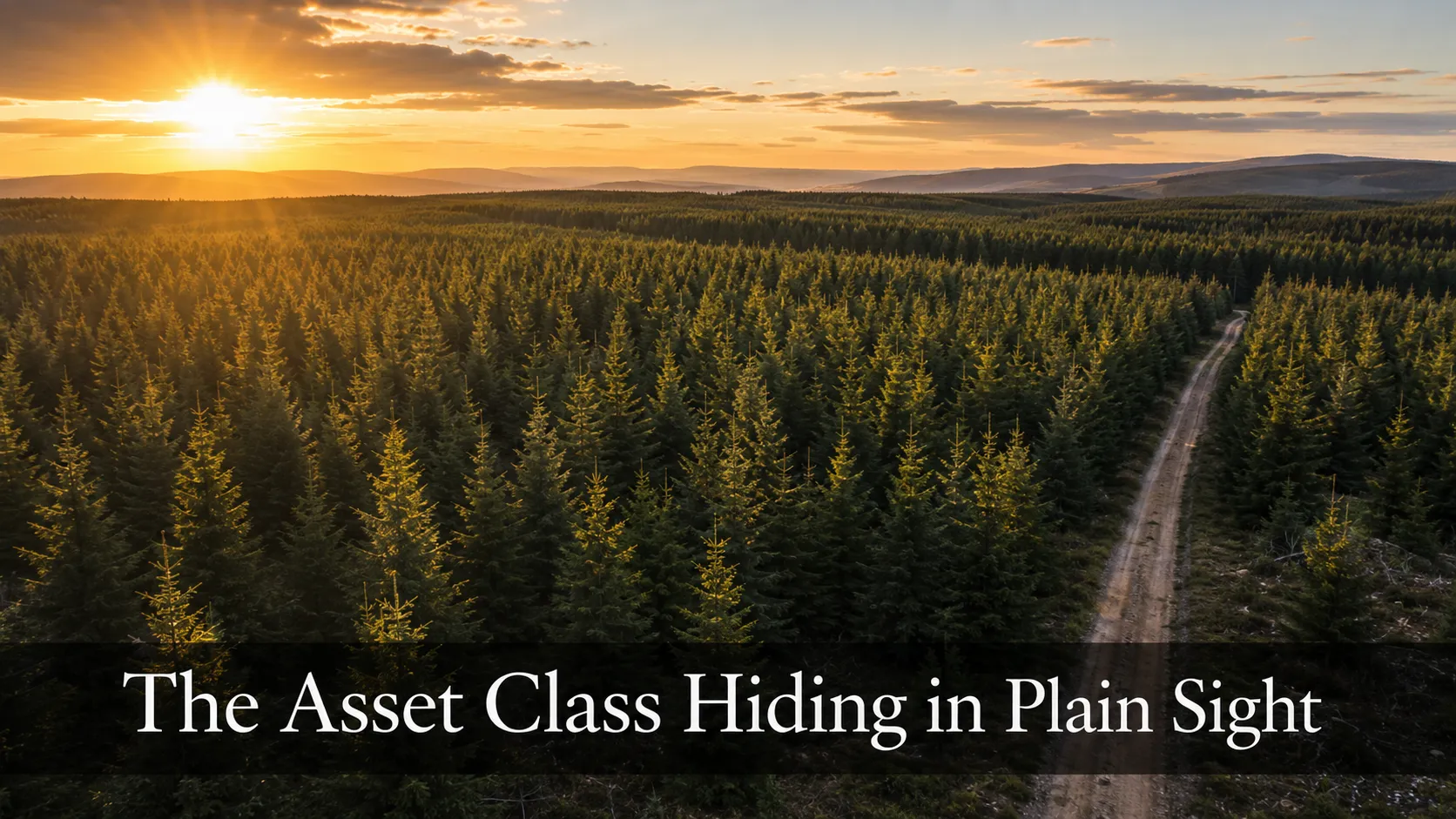 Featured image for “The Overlooked Asset Class Endowments Quietly Rely On”